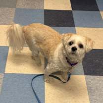 Thumbnail photo of Jake #4