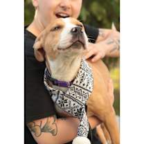 Thumbnail photo of Spotty Dotty #3