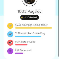 Thumbnail photo of Gomez #4