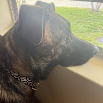 Thumbnail photo of Zeus #2