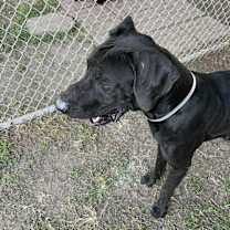 Thumbnail photo of Bruce #2