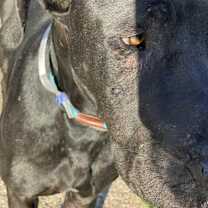 Thumbnail photo of Bruce #3