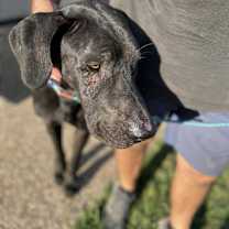 Thumbnail photo of Bruce #4