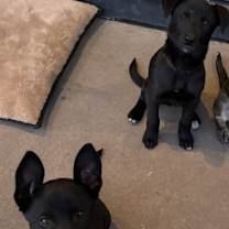 Thumbnail photo of Blakely #2