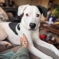 Thumbnail photo of Santiago #1