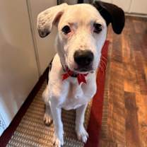 Thumbnail photo of Santiago #2