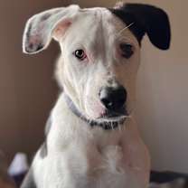 Thumbnail photo of Santiago #3