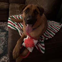 Thumbnail photo of Gunner #1