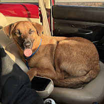 Thumbnail photo of Gunner #2