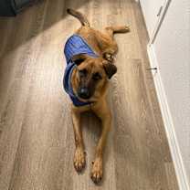 Thumbnail photo of Gunner #3