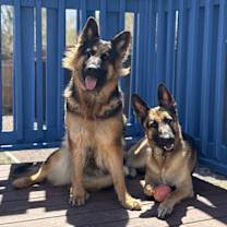 Thumbnail photo of Blue #2