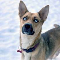 Thumbnail photo of Winter #2