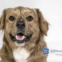 Thumbnail photo of Eidie #1