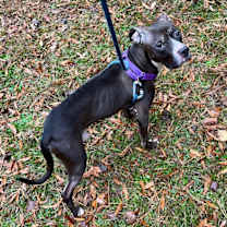 Thumbnail photo of Isaiah #2