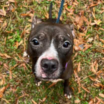 Thumbnail photo of Isaiah #3