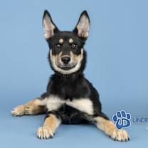 Thumbnail photo of Prime #3