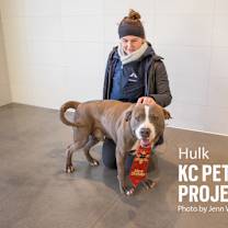 Thumbnail photo of Hulk #3