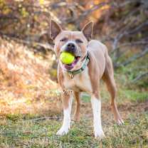 Thumbnail photo of Monchi #1