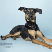 Thumbnail photo of Eclipse #2