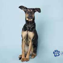 Thumbnail photo of Eclipse #3