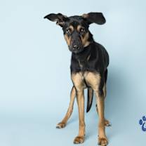 Thumbnail photo of Eclipse #4