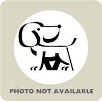 Thumbnail photo of Agnes #1