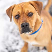 Thumbnail photo of Stella #1