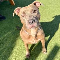 Thumbnail photo of Cindy Lou  #1