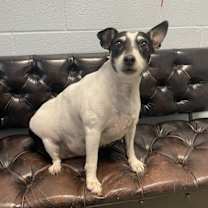 Thumbnail photo of Jellie #1