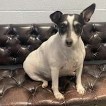 Thumbnail photo of Jellie #2