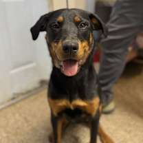 Thumbnail photo of Mercy #1