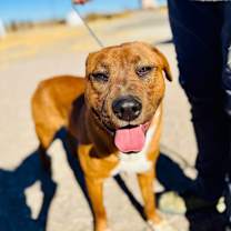 Thumbnail photo of Carl #1