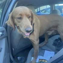 Thumbnail photo of Fischer #1