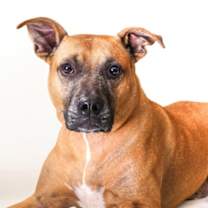 Thumbnail photo of Ralo #2