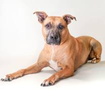 Thumbnail photo of Ralo #4