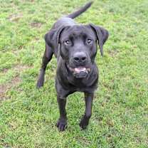 Thumbnail photo of Blossom #3