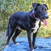 Thumbnail photo of MOLLY #3