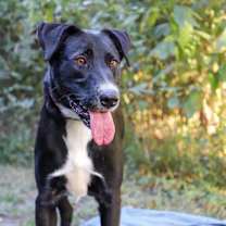 Thumbnail photo of MOLLY #4