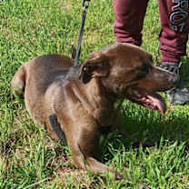 Thumbnail photo of Star #2