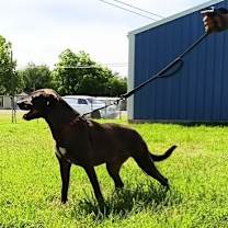 Thumbnail photo of Star #3