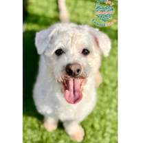 Thumbnail photo of Arthur COH #1