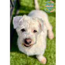 Thumbnail photo of Arthur COH #2