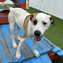 Thumbnail photo of Versace #1