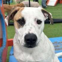 Thumbnail photo of Versace #2