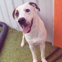 Thumbnail photo of Versace #3