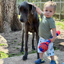 Thumbnail photo of Daisy #1