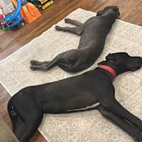 Thumbnail photo of Daisy #3