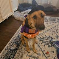 Thumbnail photo of Stella #2