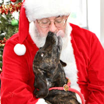 Thumbnail photo of Honey Bun #2