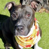 Thumbnail photo of Pumkin #3